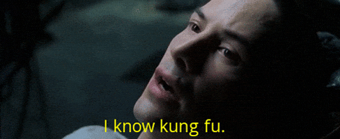 Neo saying I know kung fu